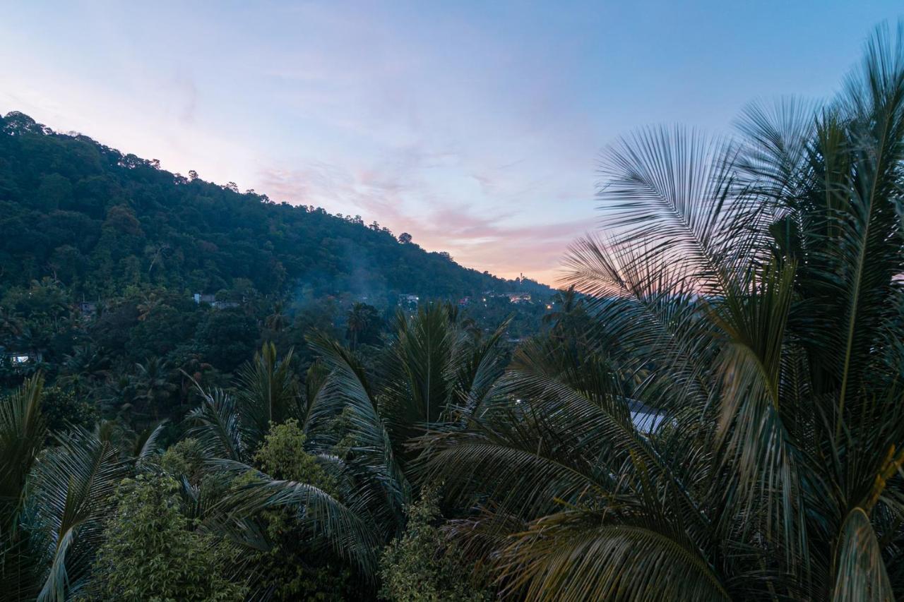 Sun Set Forest Villa Kandy Exteriér fotografie